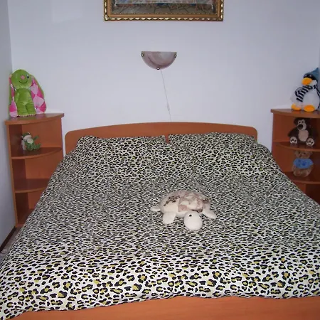 Guest house Julia Vendeghaz 3*