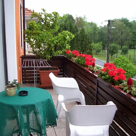 Pensionat Julia Vendeghaz 3*