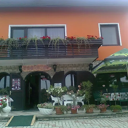 Pensionat Julia Vendeghaz