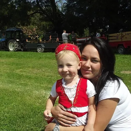 Guest house Julia Vendeghaz 3*