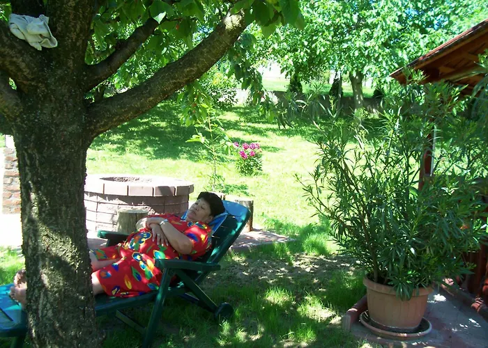 ゲストハウス Julia Vendeghaz ザラカロシュ