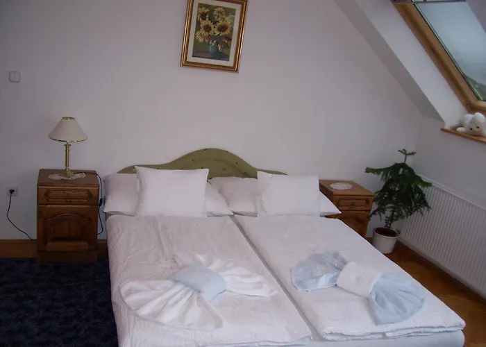 Julia Vendeghaz ザラカロシュ