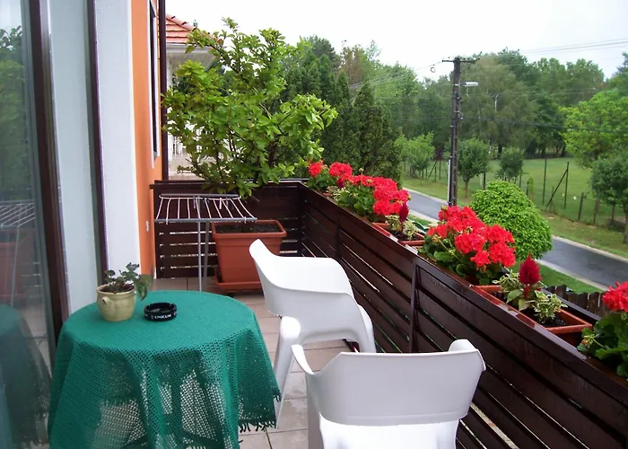 ゲストハウス Julia Vendeghaz 3*