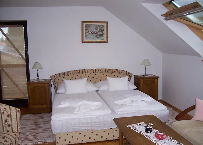 ゲストハウス Julia Vendeghaz ザラカロシュ